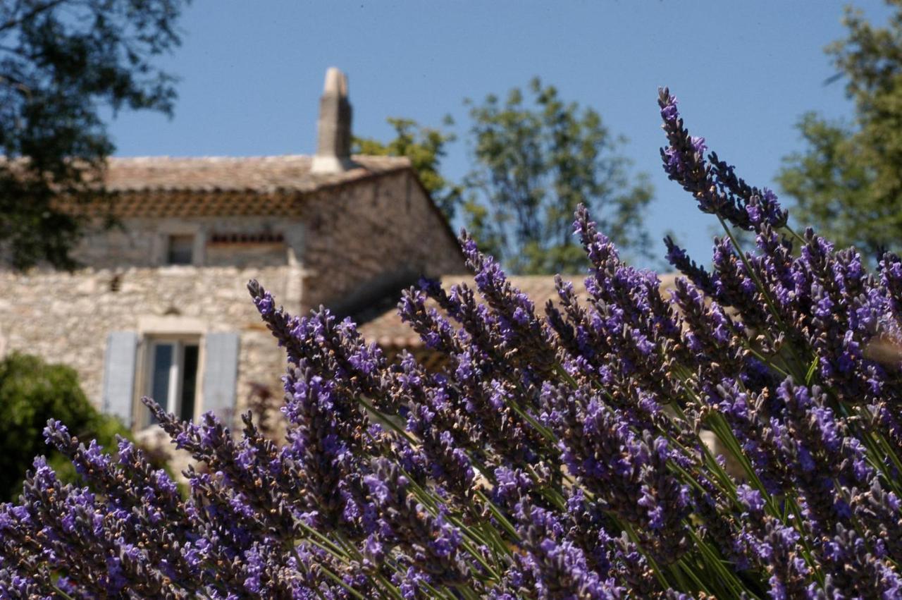 La Vivande Marsanne Exteriér fotografie